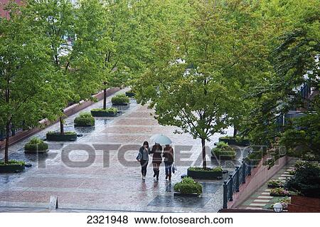 Three friends walking on wet path on rainy day with umbrella; Tokyo, Japan View Large Photo Image Stock Photo - Three friends walking on wet path on rainy day with umbrella; Tokyo, Japan. Fotosearch
