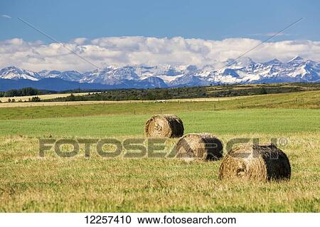 Stock Image - Three hay bales in a field with mountains in the background slightly snow covered and cloudy with blue sky; Alberta, Canada. Fotosearch