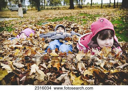 Picture - Three Kids Lying In A Pile Of Autumn Leaves; Maricourt Quebec Canada. Fotosearch