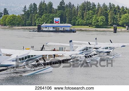 Stock Photograph - Three Seair Seaplanes At Vancouver Harbour Flight Centre With Stanley Park Backdrop; Vancouver British Columbia Canada. Fotosearch
