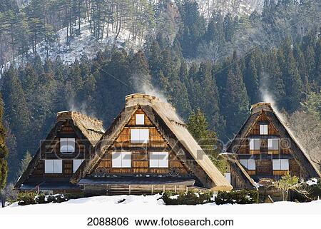Stock Photograph - Three Traditional Japanese Village Houses With Thatched Rooves Steaming In The Morning Winter Sun; Shirakawa, Gifu, Japan. Fotosearch