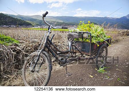 Stock Photograph - Three wheeled bicycle with vegetables; Lijiang, Yunnan Province, China. Fotosearch