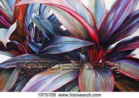 Stock Photo - Ti In Blue, Colorful Ti-Leaf Plants (Acrylic Painting).. Fotosearch