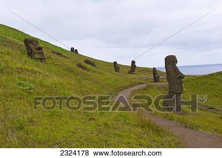 Tiki sentinels guard the volcanic pathway in Rano Raraku National Park; Easter Island, Chile View Large Photo Image Stock Photo - Tiki sentinels guard the volcanic pathway in Rano Raraku National Park; Easter Island, Chile. Fotosearch