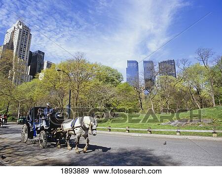 Time Warner Towers And Horse Drawn Carriage View Large Photo Image Stock Photo - Time Warner Towers And Horse Drawn Carriage. Fotosearch