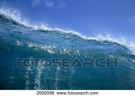 Stock Photo - Tip Of Shimmery Translucent Wave With Whitetips, Blue Skies Background. Fotosearch