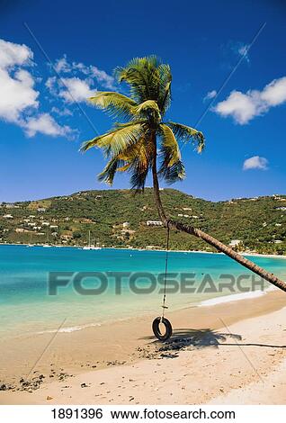 Stock Photograph - Tire Swing On Palm Tree On Beach. Fotosearch