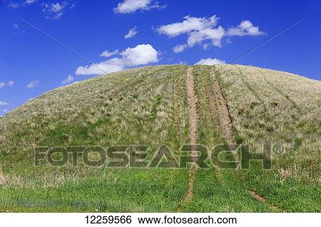 Tire tracks on a grassy hill; Cypress Hills, Saskatchewan, Canada View Large Photo Image Stock Photograph - Tire tracks on a grassy hill; Cypress Hills, Saskatchewan, Canada. Fotosearch