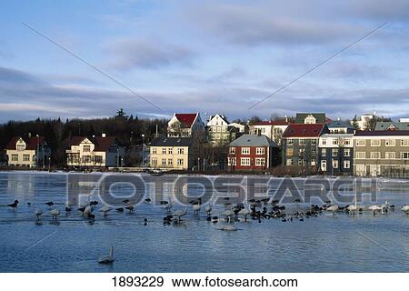 Tjornin View Large Photo Image Stock Photo - Tjornin. Fotosearch