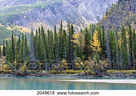 Stock Photo - Toad River And Mountain, Muncho Lake Provincial Park, Northern British Columbia. Fotosearch