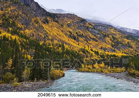 Stock Photography - Toad River, Mountain And Fall Colours, Muncho Lake Provincial Park, Northern British Columbia. Fotosearch