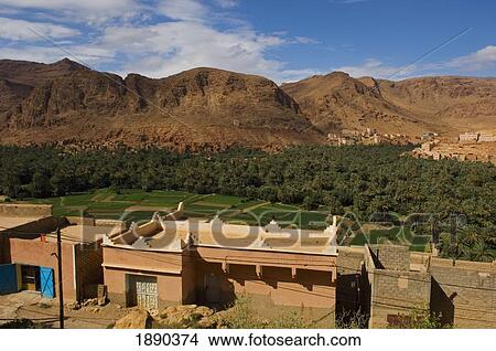 Picture - Todra Valley Across Palm Belt Of Tinerhir. Fotosearch