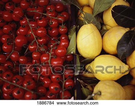 Tomatoes And Lemons For Sale, Close Up View Large Photo Image Picture - Tomatoes And Lemons For Sale, Close Up. Fotosearch
