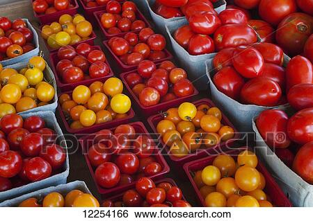 Stock Photograph - Tomatoes for sale at a roadside stand; Dunham, Quebec, Canada. Fotosearch