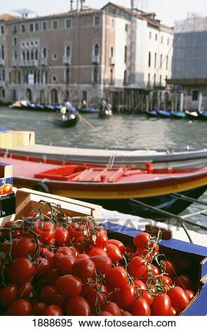 Tomatoes For Sale On The Banks Of The Grand Canal At The Rialto Market View Large Photo Image Stock Photography - Tomatoes For Sale On The Banks Of The Grand Canal At The Rialto Market. Fotosearch