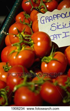 Picture - Tomatos At Market, Close Up, Piazza Della Repubblica, Turin, Piemonte, Italy. Fotosearch