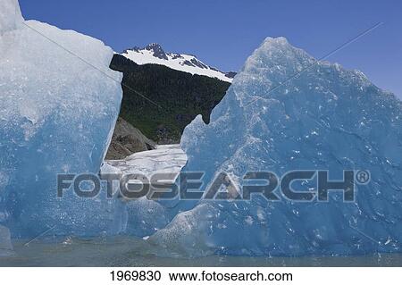 Stock Image - Tongass Forest, Alaska, Recently Calved From The Terminus Of Mendenhall Glacier In Mendenhall Lake, An Iceberg Reveals The Blue Ice Glaciers Are So Well Known For.. Fotosearch