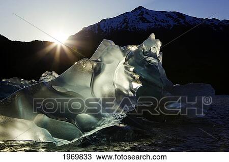 Tongass Forest, Alaska, Recently Calved From The Terminus Of Mendenhall Glacier In Mendenhall Lake, An Iceberg Transmits The Light From The Setting Sun. View Large Photo Image Stock Image - Tongass Forest, Alaska, Recently Calved From The Terminus Of Mendenhall Glacier In Mendenhall Lake, An Iceberg Transmits The Light From The Setting Sun.. Fotosearch