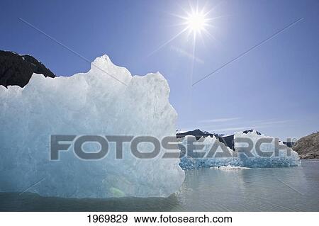 Stock Photo - Tongass Forest, Alaska, Recently Calved From The Terminus Of Mendenhall Glacier In Mendenhall Lake, An Iceberg Reveals The Blue Ice Glaciers Are So Well Known For.. Fotosearch