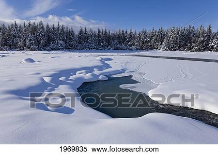 Stock Photography - Tongass Forest, Alaska, Recently Calved From The Terminus Of Mendenhall Glacier In Mendenhall Lake, An Iceberg Transmits The Light From The Setting Sun.. Fotosearch