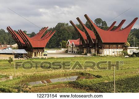 Picture - Tongkonan, traditional Torajan ancestral houses in Bori, Toraja Land, South Sulawesi, Indonesia. Fotosearch