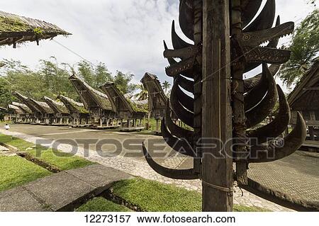 Stock Photo - Tongkonan, traditional Torajan ancestral houses in Kete Kesu, Toraja Land, South Sulawesi, Indonesia. Fotosearch