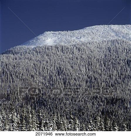 Top Of Chic-Chocs Mountain, Gaspesie National Park, Gaspe Peninsula, Quebec View Large Photo Image Stock Photograph - Top Of Chic-Chocs Mountain, Gaspesie National Park, Gaspe Peninsula, Quebec. Fotosearch