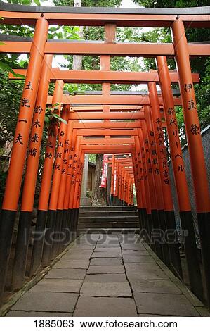 Tori Gates At A Shinto Shrine View Large Photo Image Stock Image - Tori Gates At A Shinto Shrine. Fotosearch