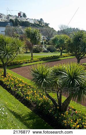 Stock Photo - Torquay, Devon, Uk. Fotosearch