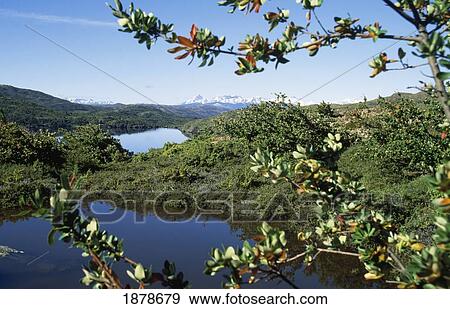 Torres Del Paine National Park View Large Photo Image Stock Photo - Torres Del Paine National Park. Fotosearch