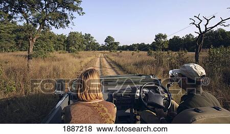 Tourist And Driver On Jeep Safari In Bandhavgarh National Park. View Large Photo Image Stock Photo - Tourist And Driver On Jeep Safari In Bandhavgarh National Park.. Fotosearch