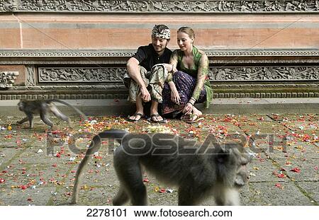 Tourist couple at Monkey temple; Bali, Indonesia View Large Photo Image Stock Image - Tourist couple at Monkey temple; Bali, Indonesia. Fotosearch