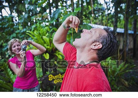 Tourist eating a sago worm in Ulu Temburong National Park; Brunei View Large Photo Image Stock Image - Tourist eating a sago worm in Ulu Temburong National Park; Brunei. Fotosearch