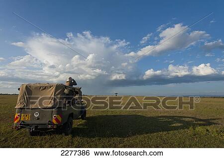 Stock Photograph - Tourist looking across grassy plain from roof of 4x4, Ol Pejeta Conservancy; Kenya. Fotosearch