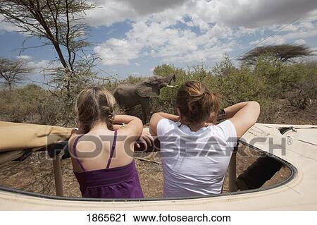 Stock Image - Tourist Lookout, Samburu National Reserve, Kenya, Africa. Fotosearch