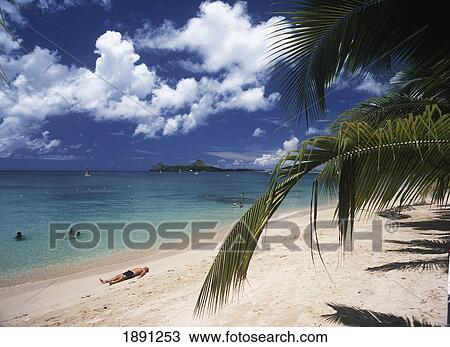 Tourist Lying On Beach And Sunbathing View Large Photo Image Stock Image - Tourist Lying On Beach And Sunbathing. Fotosearch