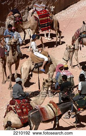 Stock Image - Tourist On Camel Nr Treasury Petra. Petra, Jordan.. Fotosearch