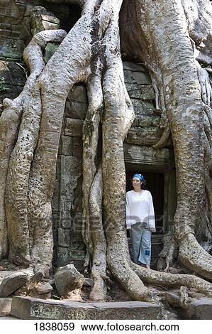 Tourist Outside Temple Entrance Overgrown With Gigantic Tree Roots In Ancient City Of Angkor; Angkor Wat, Siem Reap, Cambodia View Large Photo Image Stock Photo - Tourist Outside Temple Entrance Overgrown With Gigantic Tree Roots In Ancient City Of Angkor; Angkor Wat, Siem Reap, Cambodia. Fotosearch