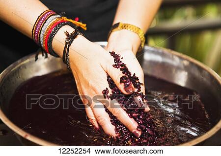 Picture - Tourist participates in a local Laos cooking course; Luang Prabang; Laos. Fotosearch