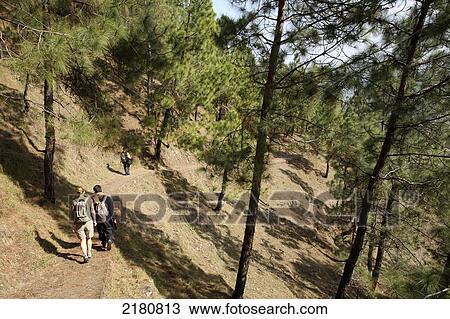 Stock Image - Tourist trekking in the Himalayas; India. Fotosearch
