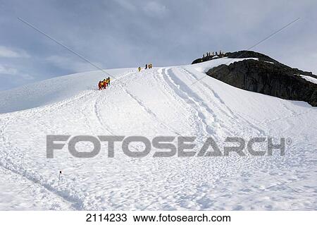Tourists Climb A Frozen Hill; Antarctica View Large Photo Image Stock Image - Tourists Climb A Frozen Hill; Antarctica. Fotosearch
