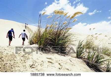 Stock Photo - Tourists Climbing Dunes With Surfboards On Ninety Mile Beach. Fotosearch