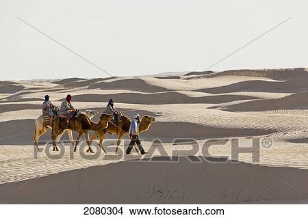 Picture - Tourists Enjoying A Camel Ride In The Desert; Zaafrane, Tunisia, North Africa. Fotosearch