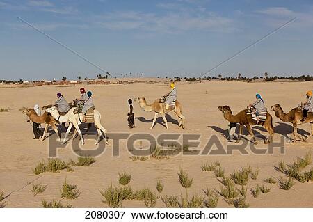 Stock Photo - Tourists Enjoying A Camel Ride In The Desert; Zaafrane, Tunisia, North Africa. Fotosearch