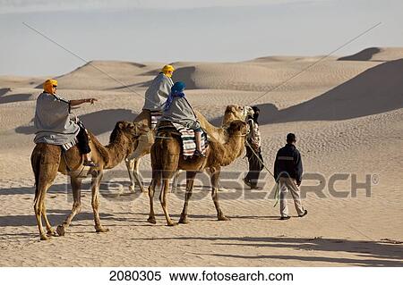 Tourists Enjoying A Camel Ride In The Desert; Zaafrane, Tunisia, North Africa View Large Photo Image Stock Photography - Tourists Enjoying A Camel Ride In The Desert; Zaafrane, Tunisia, North Africa. Fotosearch