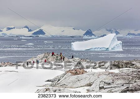 Tourists from the Polar Star hike on Peterman Island, Western Antarctic Peninsula; Antarctica View Large Photo Image Stock Image - Tourists from the Polar Star hike on Peterman Island, Western Antarctic Peninsula; Antarctica. Fotosearch