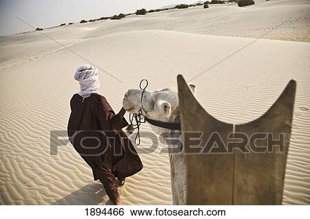 Stock Photograph - Tourists Going For Camel Rides In Dunes. Fotosearch