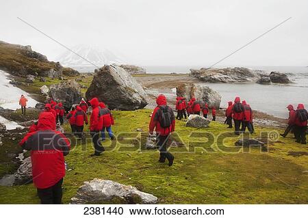 Tourists in matching red coats walking around an island; Svalbard, Norway View Large Photo Image Stock Image - Tourists in matching red coats walking around an island; Svalbard, Norway. Fotosearch