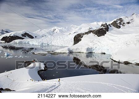 Tourists In Yellow Jackets Explore The Coastline; Antarctica View Large Photo Image Stock Photo - Tourists In Yellow Jackets Explore The Coastline; Antarctica. Fotosearch