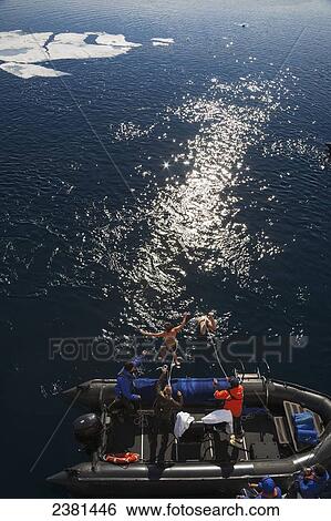 Tourists jump off a boat into the freezing waters of the Arctic Ocean; Svalbard, Norway View Large Photo Image Stock Photograph - Tourists jump off a boat into the freezing waters of the Arctic Ocean; Svalbard, Norway. Fotosearch